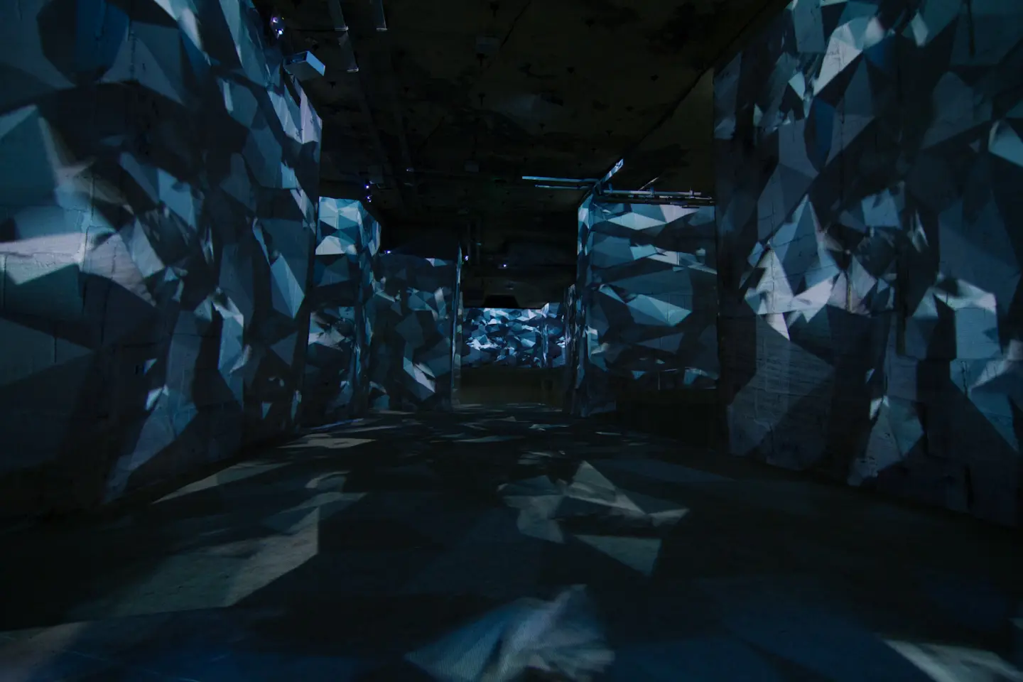 Métamorphose, Carrières de Lumières — Aurélien Lafargue